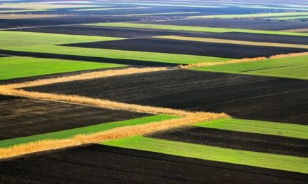 …az egyháznak nem adható vissza…