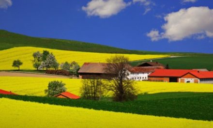 Erőteljes támogatás a gazdaságnak
