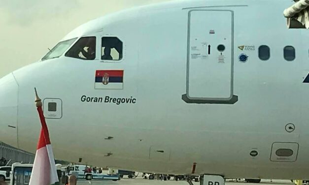 Száll a szárnyashajó fészkére