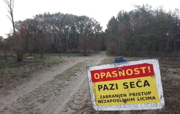 “Felelőtlenség lenne az egyik utolsó bácskai erdőt veszélyeztetni”