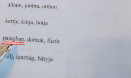 A jövő útja a látszatjavulás