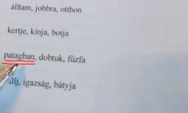 A jövő útja a látszatjavulás