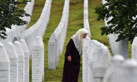 A VMSZ esete a srebrenicai népirtással