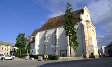 Mi és ki felelős a vajdasági magyar problematikumért?