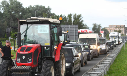 A hatalom mostohagyerekként bánik a gazdákkal