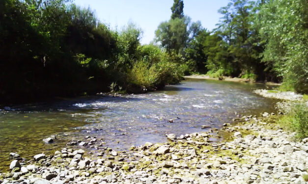 Miért pont a jadarit a fontos?
